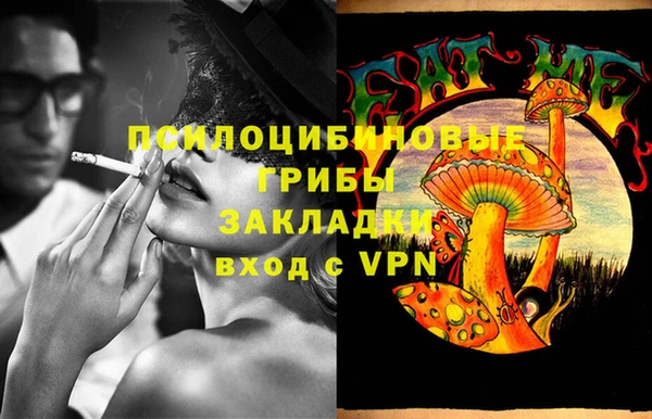 гидропоника Михайлов