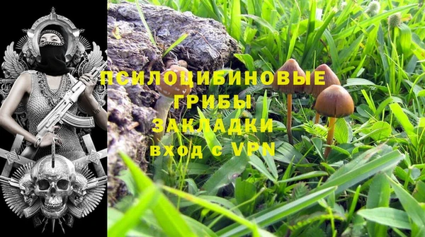сатива Алзамай