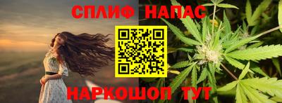 мдпв Бердск